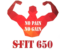 에스핏 650